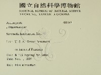 登錄號:F0011861藏品圖，第2張