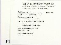 登錄號:F0011862藏品圖，第2張