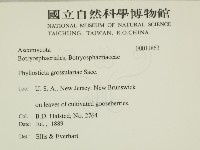 登錄號:F0011863藏品圖，第2張