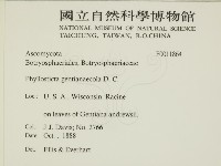 登錄號:F0011864藏品圖，第2張