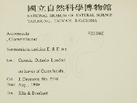 登錄號:F0011865藏品圖，第2張