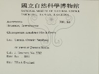 登錄號:F0011866藏品圖，第2張