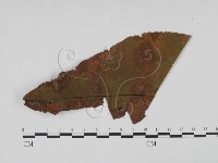 登錄號:F0011867藏品圖，第3張