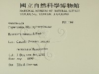 登錄號:F0011868藏品圖，第2張