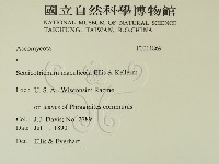 登錄號:F0011869藏品圖，第2張