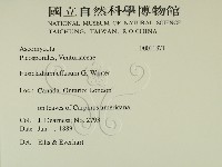 登錄號:F0011871藏品圖，第2張