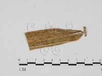 登錄號:F0011872藏品圖，第1張