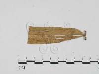 登錄號:F0011872藏品圖，第3張