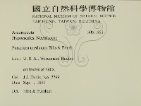 登錄號:F0011873藏品圖，第2張