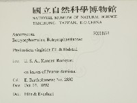 登錄號:F0011874藏品圖，第2張