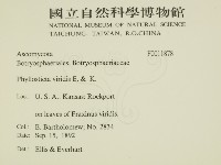 登錄號:F0011878藏品圖，第2張