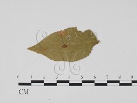 登錄號:F0011878藏品圖，第1張