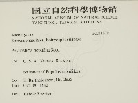 登錄號:F0011879藏品圖，第2張