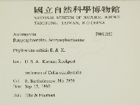 登錄號:F0011880藏品圖，第2張