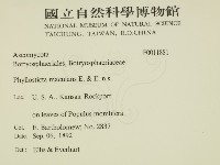 登錄號:F0011881藏品圖，第2張