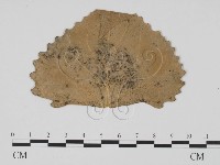 登錄號:F0011881藏品圖，第1張