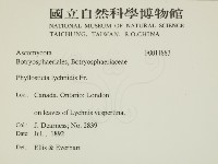 登錄號:F0011883藏品圖，第2張