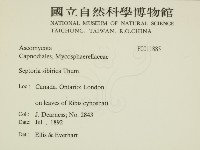 登錄號:F0011885藏品圖，第2張