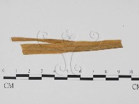登錄號:F0011888藏品圖，第3張