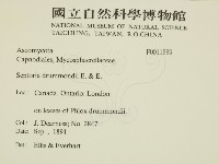 登錄號:F0011889藏品圖，第2張