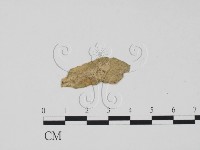 登錄號:F0011889藏品圖，第1張