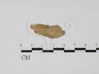 登錄號:F0011889藏品圖，第3張