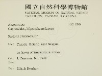 登錄號:F0011890藏品圖，第2張