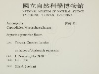 登錄號:F0011891藏品圖，第2張