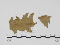 登錄號:F0011892藏品圖，第3張