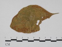 登錄號:F0011894藏品圖，第3張