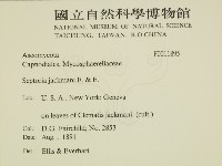 登錄號:F0011895藏品圖，第2張