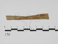 登錄號:F0011896藏品圖，第3張