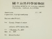 登錄號:F0011897藏品圖，第2張