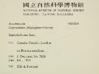 登錄號:F0011898藏品圖，第2張