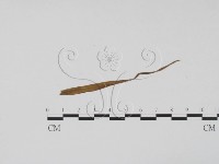 登錄號:F0011898藏品圖，第3張