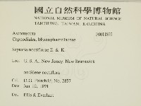 登錄號:F0011899藏品圖，第2張