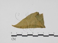 登錄號:F0011899藏品圖，第1張