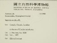 登錄號:F0011900藏品圖，第2張