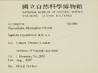 登錄號:F0011901藏品圖，第2張
