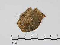 登錄號:F0011901藏品圖，第3張