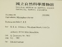 登錄號:F0011902藏品圖，第2張