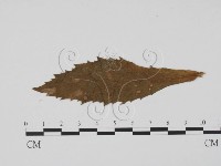 登錄號:F0011902藏品圖，第3張