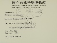 登錄號:F0011904藏品圖，第2張