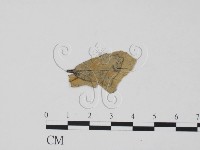 登錄號:F0011906藏品圖，第1張