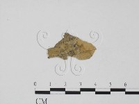 登錄號:F0011906藏品圖，第3張