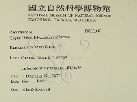 登錄號:F0011907藏品圖，第2張