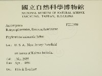 登錄號:F0011910藏品圖，第2張