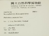 登錄號:F0011911藏品圖，第2張