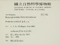 登錄號:F0011912藏品圖，第2張