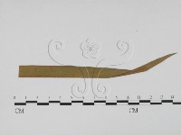 登錄號:F0011912藏品圖，第1張